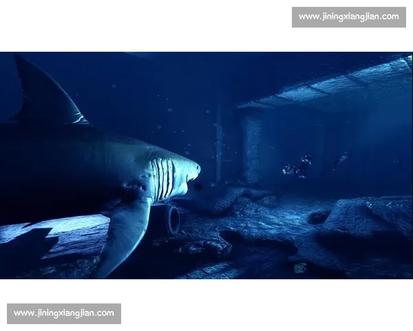 深海王者之战：剑鱼对决鲨鱼的速度力量与生存智慧较量